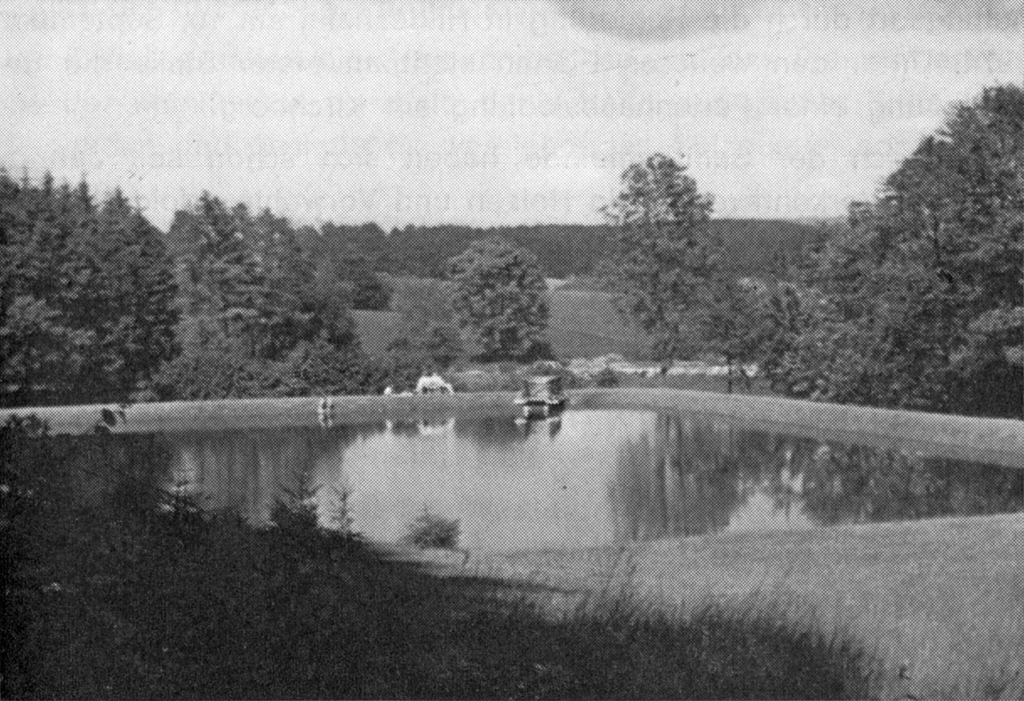 Stauweiher am Voglerrand